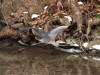IMG_2115a