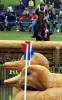 IMG_3990a