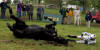 IMG_4179a
