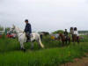 MVH Memorial Day Hunter Pace 2005 026