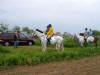 MVH Memorial Day Hunter Pace 2005 031