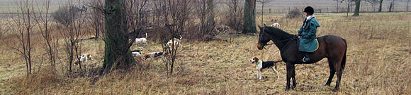 IMG_2722a