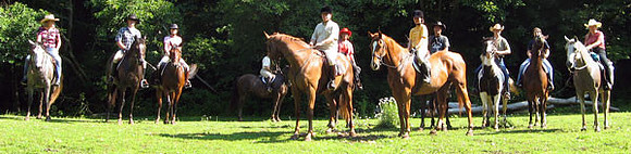 IMG_4498a