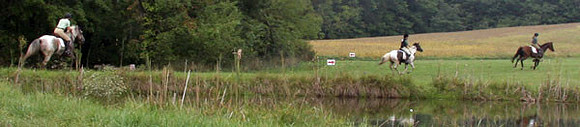 IMG_7840a