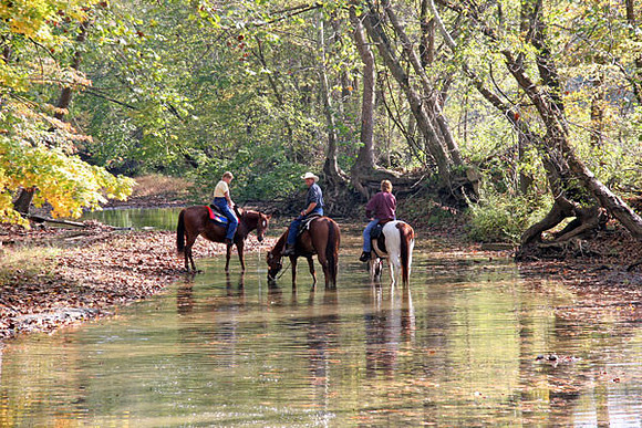 IMG_8408water-no-crop600