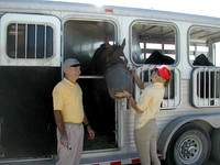 New-Fixture-033a