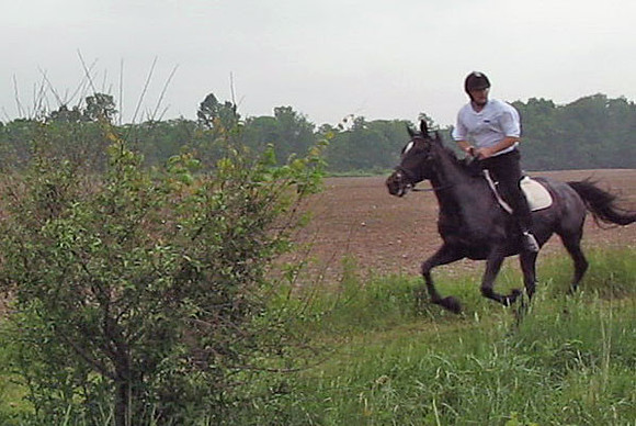 MVI_2616rick