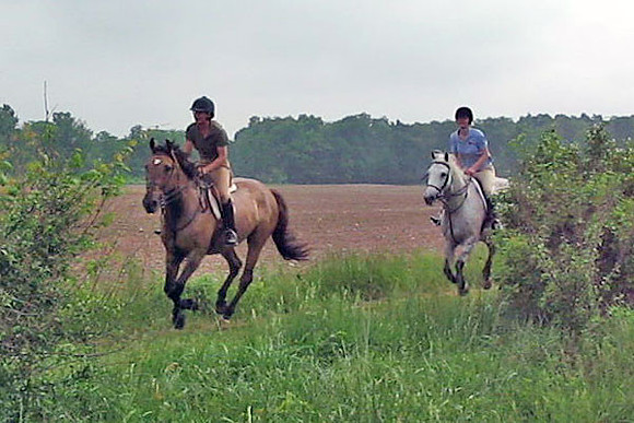 MVI_26202rider
