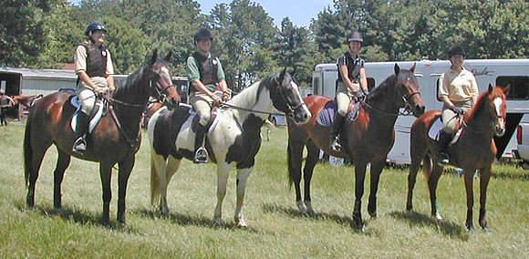 RF-Pace-and-Chase-034a