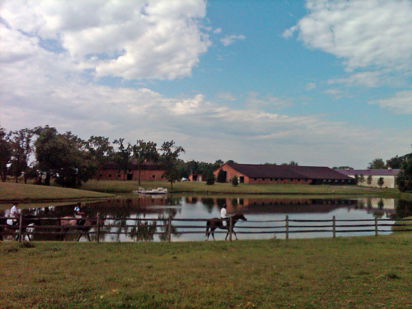 IMG00016-20110813-1023-600