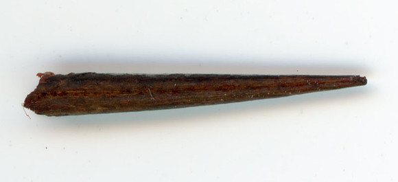 img155-thorn