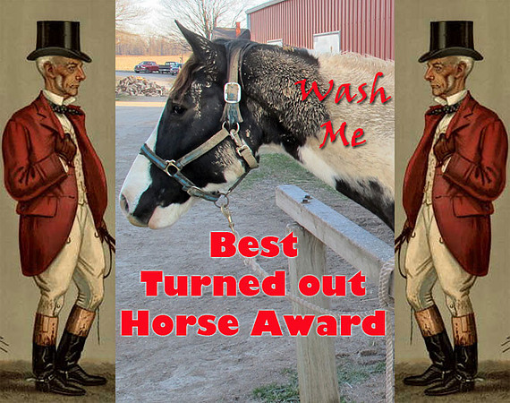2012-Award-Best-Turned-Off