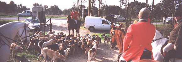 11-3-03portugalredcoat590