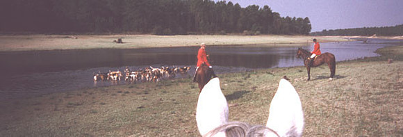 11-3-03portugallake590