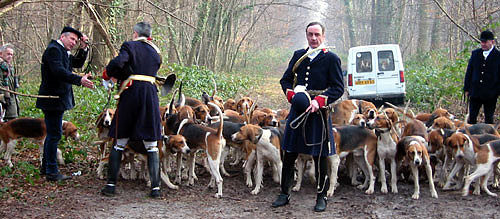 1-25-03-3masterhounds