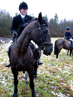 2-1-03-3horseface