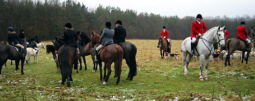 2-1-03-4panofieldbeg