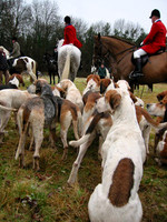 2-1-03-11hounds