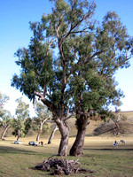 173_7354a