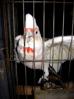 175_7523a
