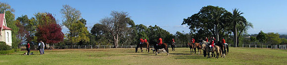 IMG_3341a