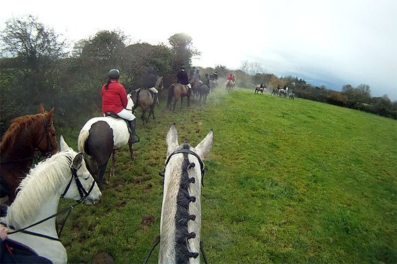 gb2-horses1