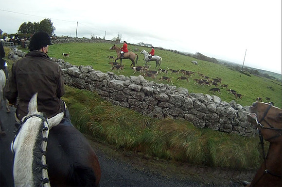 gb2hounds