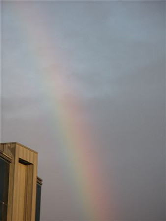 image003