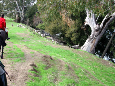 aushuntstreambank