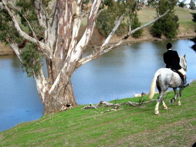 austreambank2