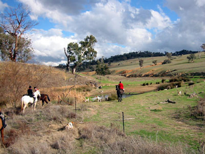 aushuntstream