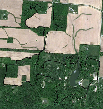 8-13-13-Camp-Birch