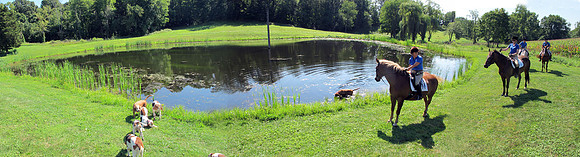 IMG_4769-1920