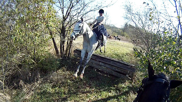 Bless-coop7-sidesaddle