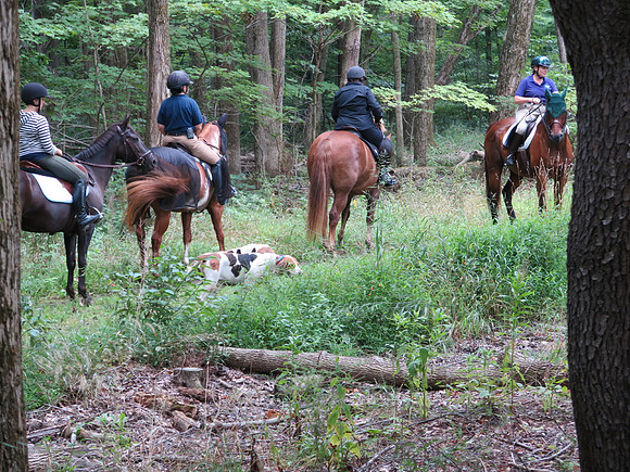 IMG_0806
