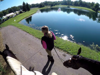 vlcsnap-2017-08-14-12h53m00s458