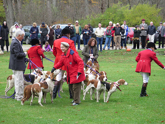 IMG_9233