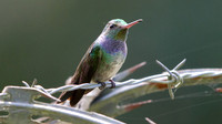 IMG_5091