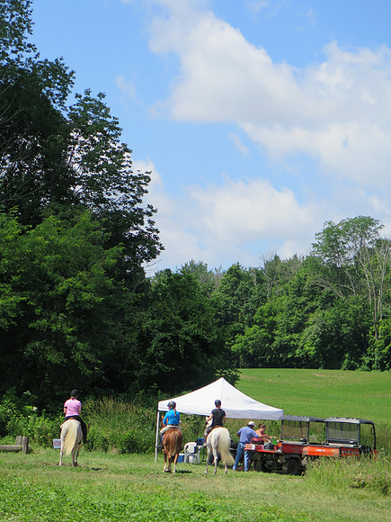 IMG_1903