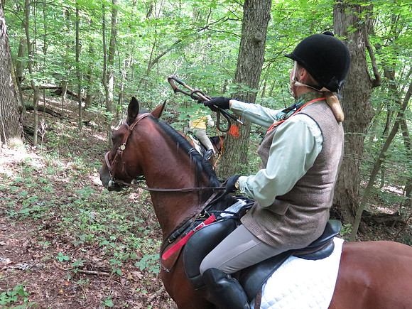 IMG_3646