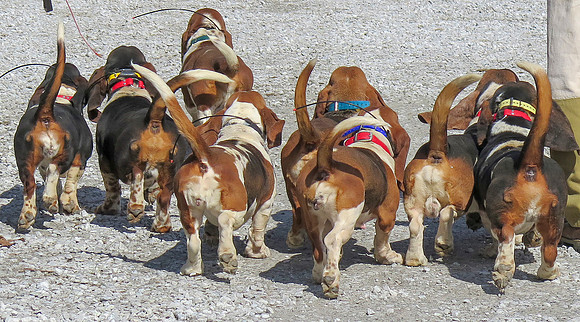 IMG_6198 crop