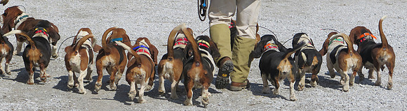 IMG_6199 crop