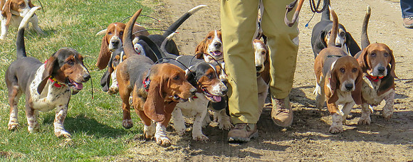 IMG_6215 crop