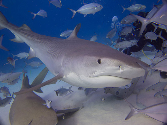 IMG_2689 fb
