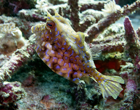 IMG_2289