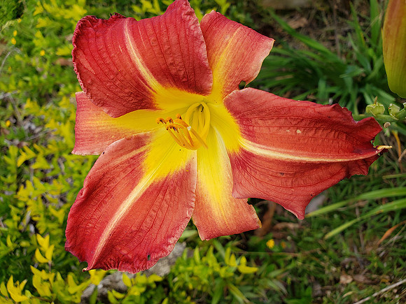 20180614_161738