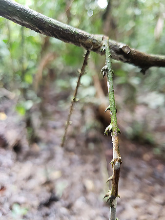 20180605_105605