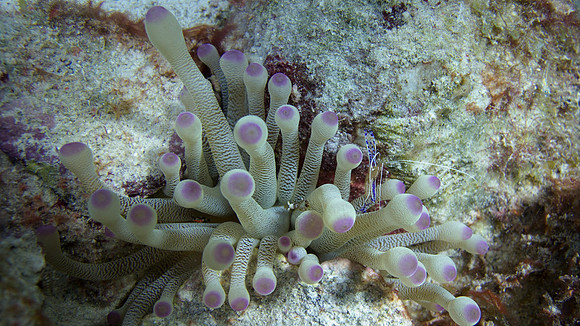 IMG_4342