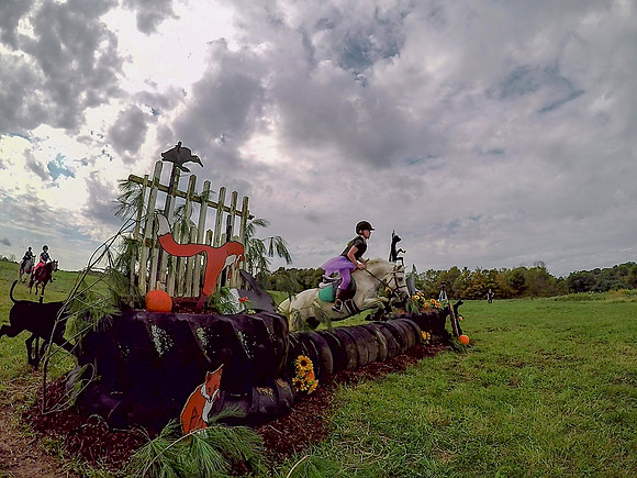 vlcsnap-2018-10-14-09h08m30s550 fb