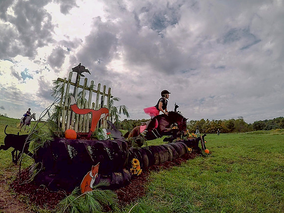 vlcsnap-2018-10-14-09h08m53s141 fb